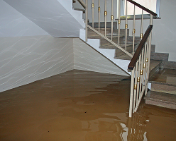 residential flood cleanup services plano tx
