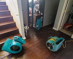 residential restoration company tx