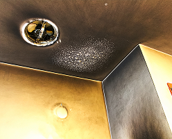 smoke odor elimination services